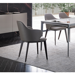 modern dining chairs